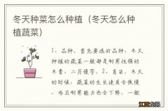 冬天怎么种植蔬菜 冬天种菜怎么种植