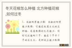 冬天花椒怎么种植 北方种植花椒,如何过冬