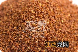 怎么分辨黑苦荞胚芽茶的真假