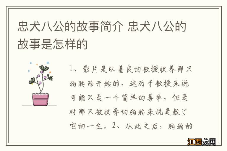 忠犬八公的故事简介 忠犬八公的故事是怎样的