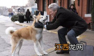 忠犬八公的故事简介 忠犬八公的故事是怎样的