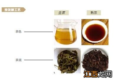 茶按发酵怎么分类