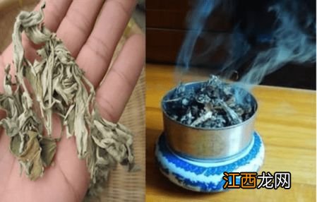 怎么点茶叶驱蚊