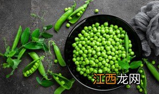 荷兰豆和豌豆的区别 荷兰豆和豌豆的区别在哪里