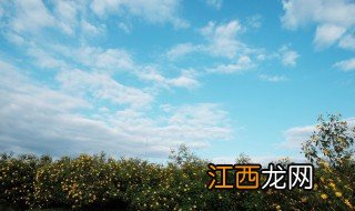 天空之城李志歌词 天空之城李志歌曲简介