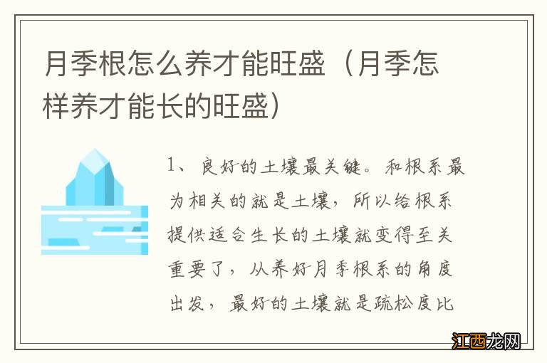 月季怎样养才能长的旺盛 月季根怎么养才能旺盛