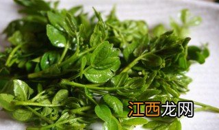 正宗花椒叶的腌制方法 花椒叶腌制方法有什么