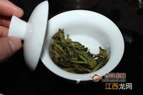 白牡丹茶怎么泡的步骤