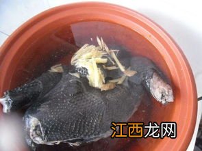 乌鸡甲鱼汤要煲多久