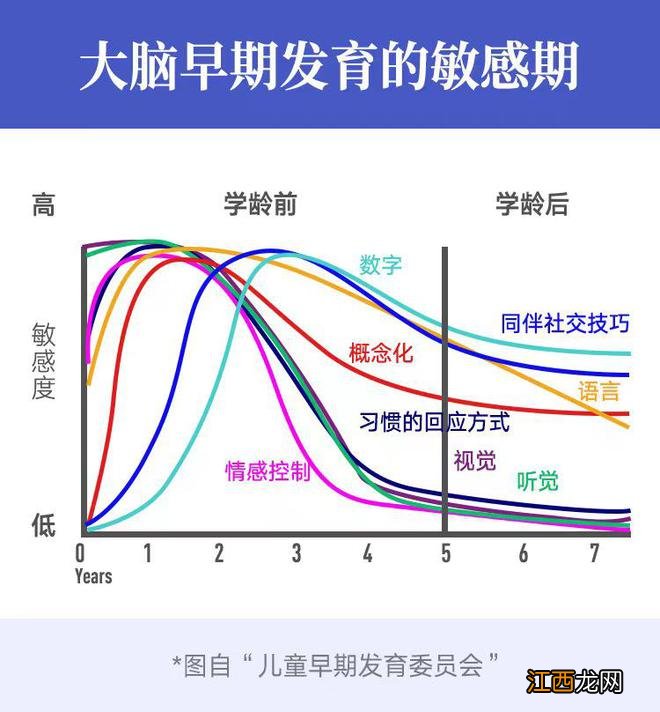 ３个儿子考入斯坦福，博士妈妈坦言：别错过孩子大脑发育的黄金期