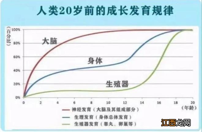 ３个儿子考入斯坦福，博士妈妈坦言：别错过孩子大脑发育的黄金期