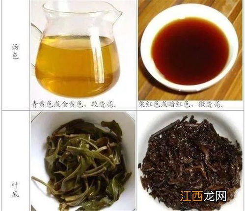 熟普洱散茶怎么保存大量