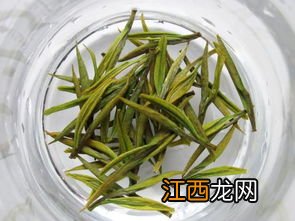 安吉白茶怎么烘干
