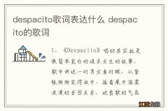 despacito歌词表达什么 despacito的歌词