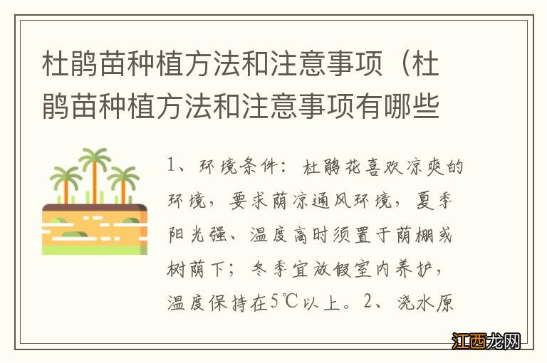 杜鹃苗种植方法和注意事项有哪些 杜鹃苗种植方法和注意事项