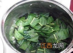 煮蒜瓣水治什么咳嗽