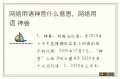 网络用语神兽什么意思，网络用语 神兽