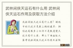 武林闲侠天运石有什么用 武林闲侠天运石作用及获取方法介绍