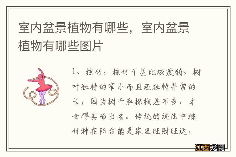 室内盆景植物有哪些,室内盆景植物有哪些图片