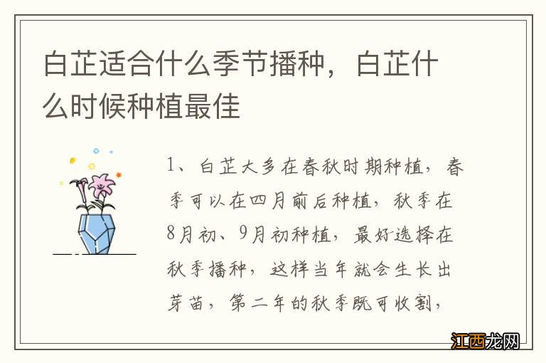 白芷适合什么季节播种，白芷什么时候种植最佳