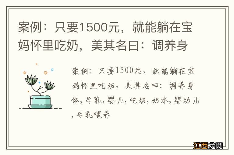 案例：只要1500元，就能躺在宝妈怀里吃奶，美其名曰：调养身体