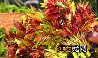 一岁宝宝了可以吃香椿 一岁宝宝了能不能吃香椿