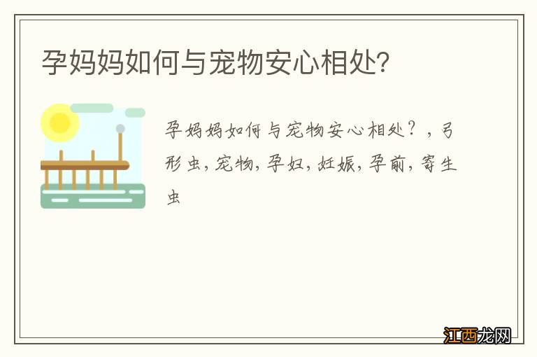 孕妈妈如何与宠物安心相处?