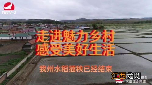 2022年是丰收年还是灾年-2022年是丰收年吗