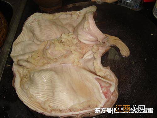 猪肚表面的粘液是什么