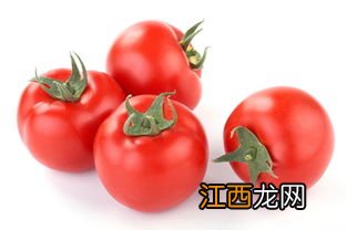 番茄泥可以存放多久