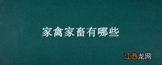 家禽家畜有哪些 家禽家畜有哪些动物