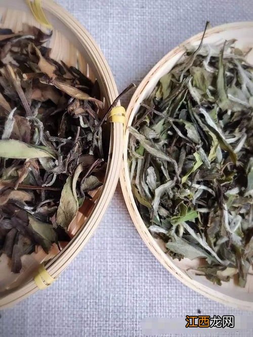 怎么分辨春茶和秋茶