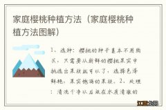 家庭樱桃种植方法图解 家庭樱桃种植方法