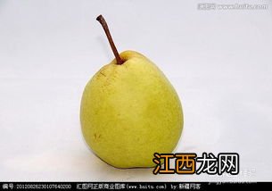 治咳嗽熬什么水果