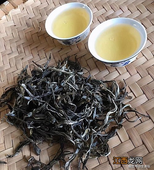 普洱生蔡应该怎么泡法