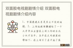 双面胶电视剧剧情介绍 双面胶电视剧剧情介绍内容