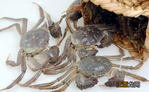 熟鱼冻冰箱多久不能吃