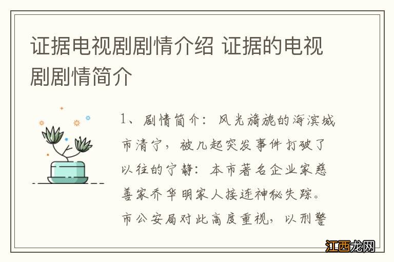 证据电视剧剧情介绍 证据的电视剧剧情简介