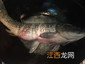 红鲤鱼怎么煮