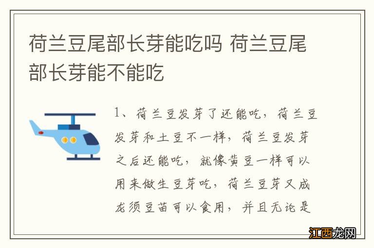 荷兰豆尾部长芽能吃吗 荷兰豆尾部长芽能不能吃