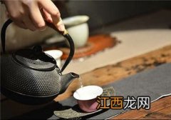 铁壶怎么放茶