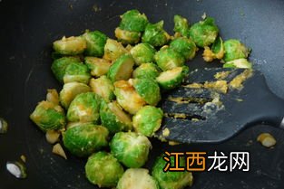 抱子甘蓝什么时候种植 抱子甘蓝的种植时间