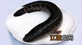 黑鱼怎么做有营养价值