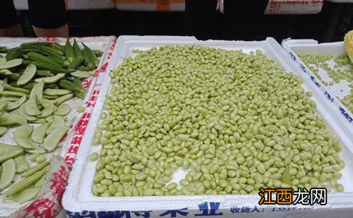 绿色的豆煮多久才能熟