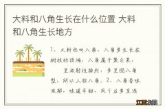 大料和八角生长在什么位置 大料和八角生长地方