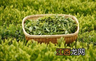 按发酵程度茶怎么排