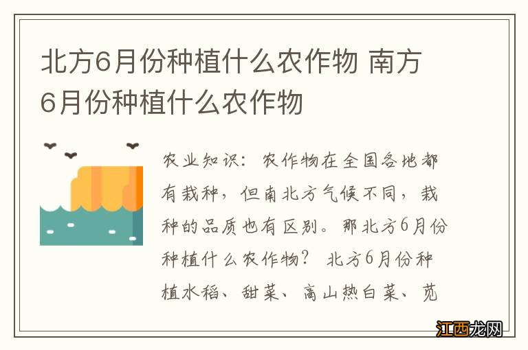 北方6月份种植什么农作物 南方6月份种植什么农作物