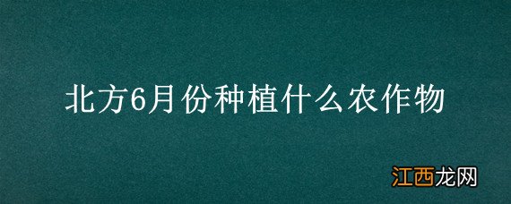 北方6月份种植什么农作物 南方6月份种植什么农作物