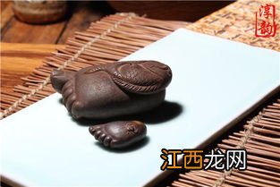 浅色茶宠怎么养