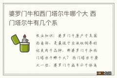 婆罗门牛和西门塔尔牛哪个大 西门塔尔牛有几个系